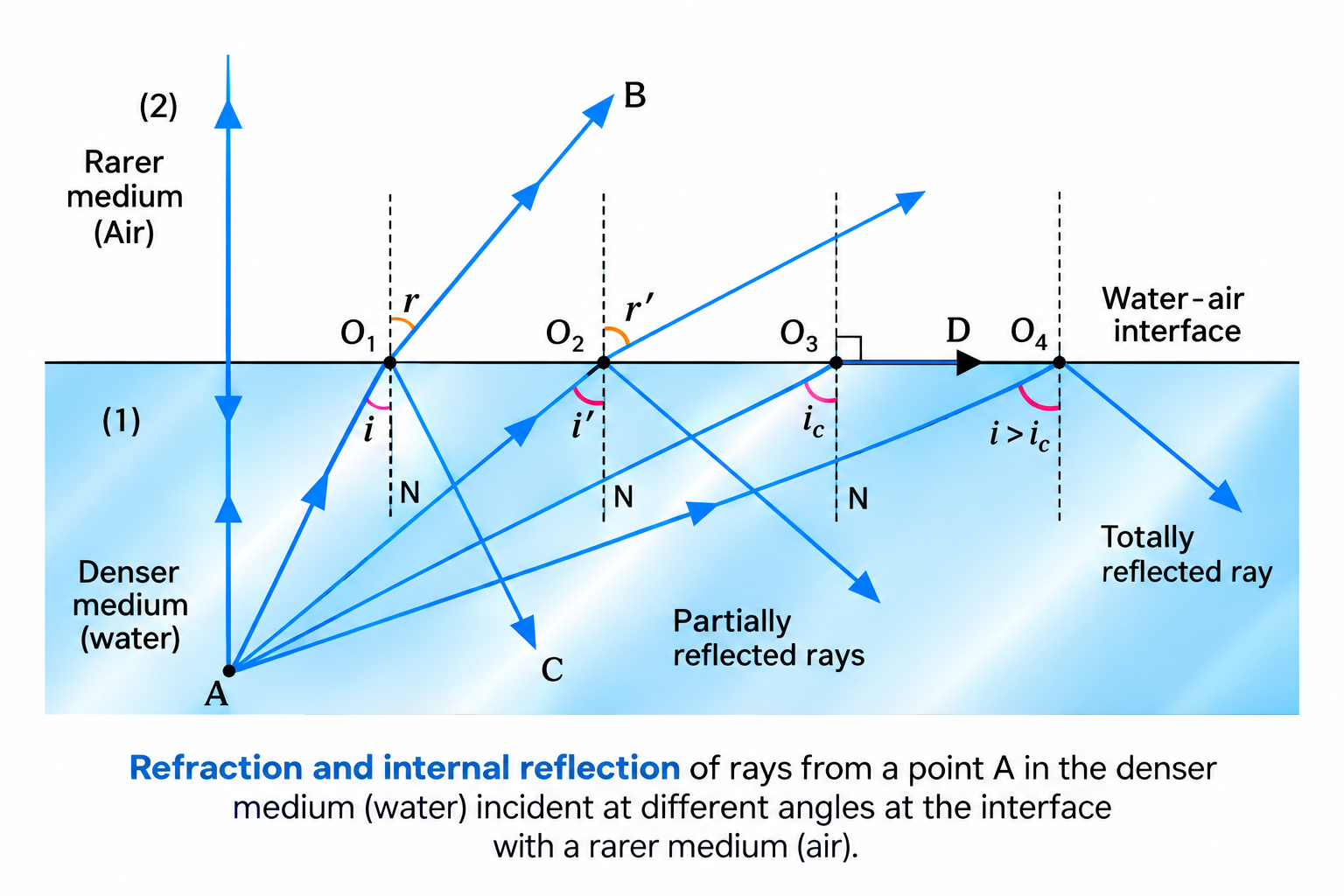 Figure 9.11: Refraction and internal reflection of rays from a point in denser medium.